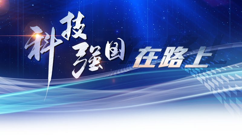 上海供应链管理论文选题：聚焦创新与实践